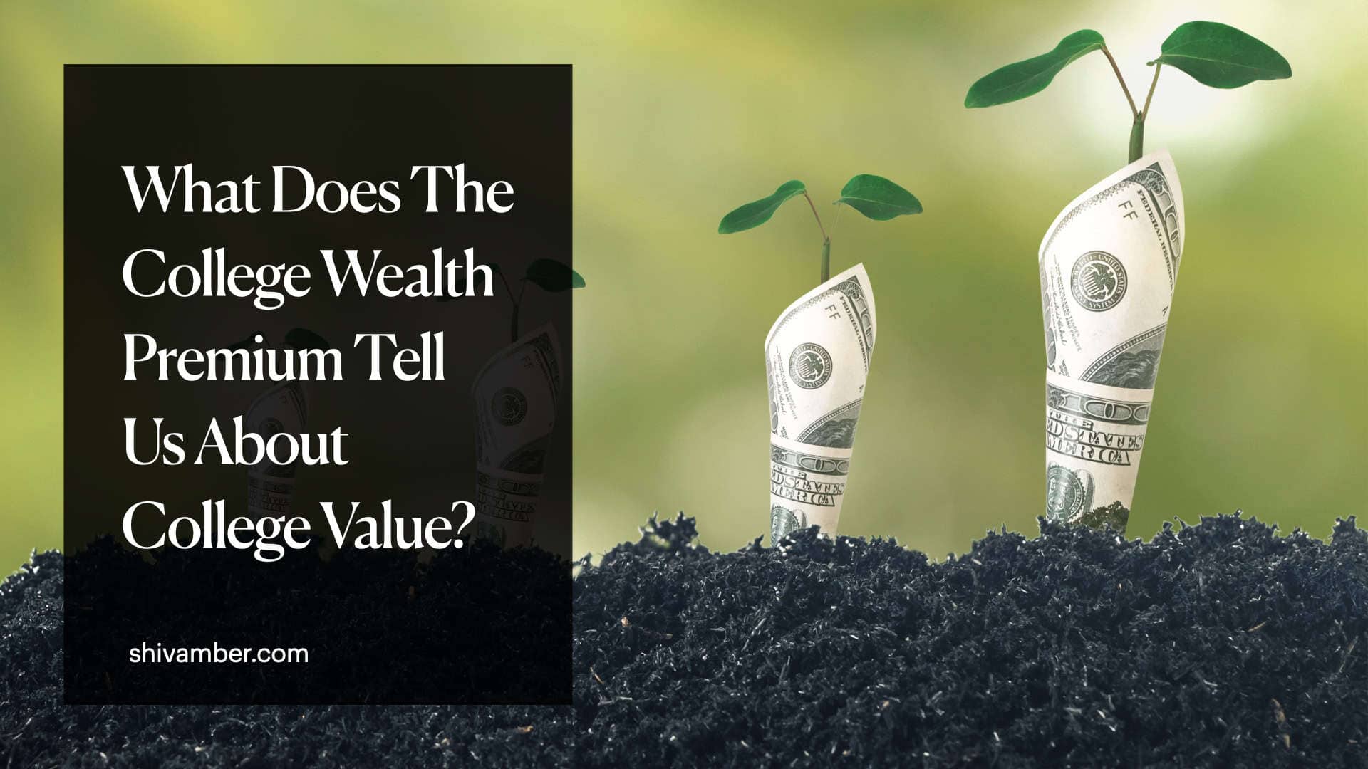 What Does The College Wealth Premium Tell Us About College Value?